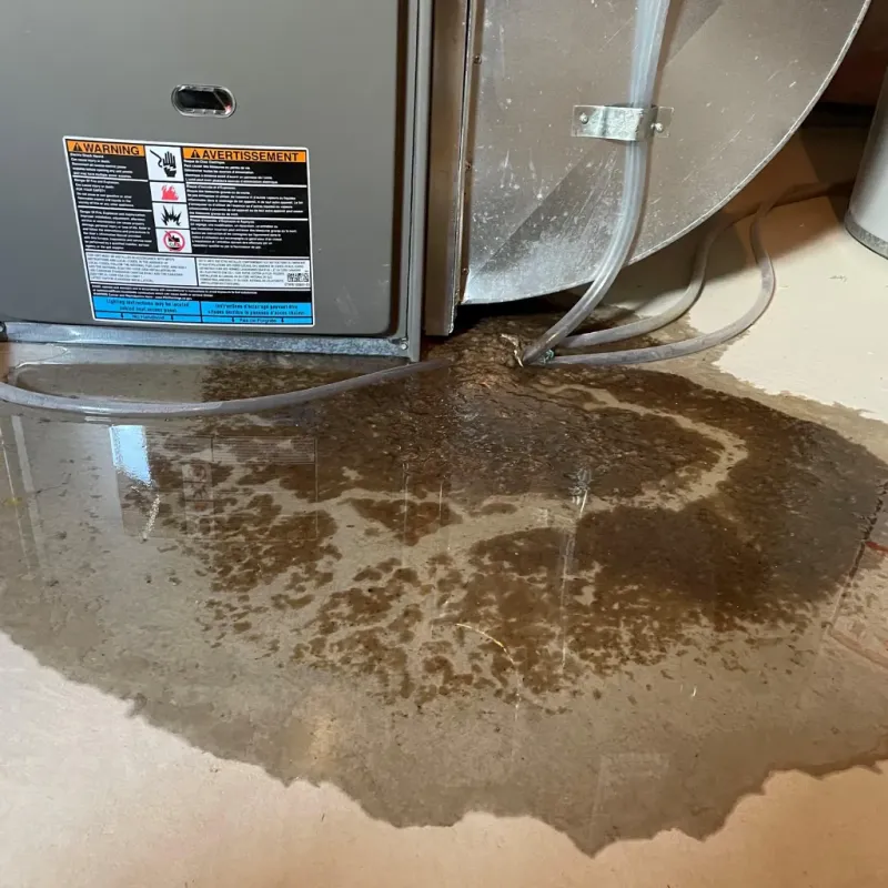 Appliance Leak Cleanup in Churubusco, IN